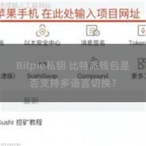 Bitpie私钥 比特派钱包是否支持多语言切换？