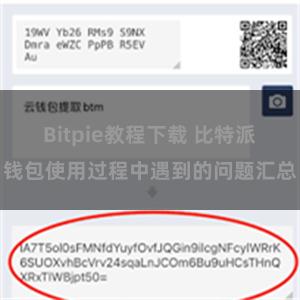 Bitpie教程下载 比特派钱包使用过程中遇到的问题汇总