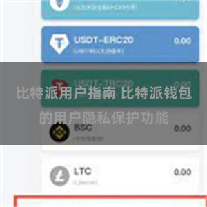 比特派用户指南 比特派钱包的用户隐私保护功能