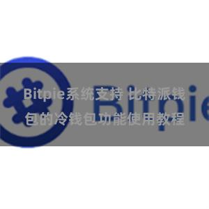 Bitpie系统支持 比特派钱包的冷钱包功能使用教程
