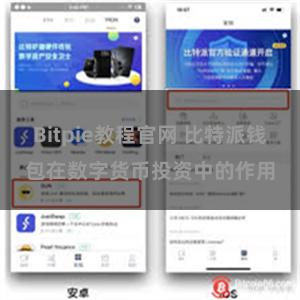 Bitpie教程官网 比特派钱包在数字货币投资中的作用