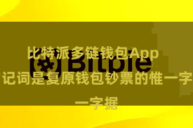 比特派多链钱包App 助记词是复原钱包钞票的惟一字据