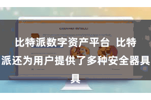 比特派数字资产平台  比特派还为用户提供了多种安全器具