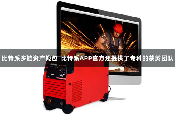 比特派多链资产钱包  比特派APP官方还提供了专科的裁剪团队