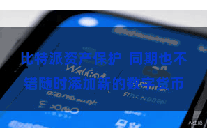 比特派资产保护  同期也不错随时添加新的数字货币